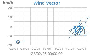 Wind Vector